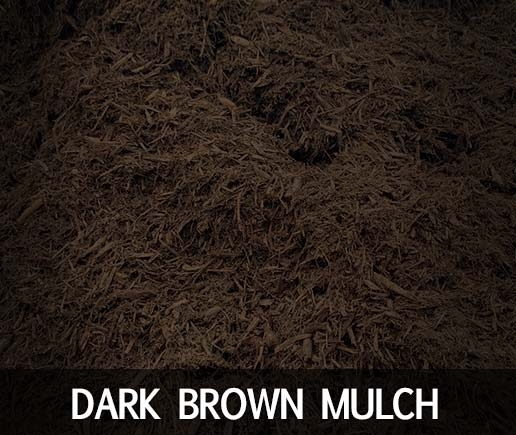 RHDarkBrown